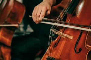 Cello player hand on bow