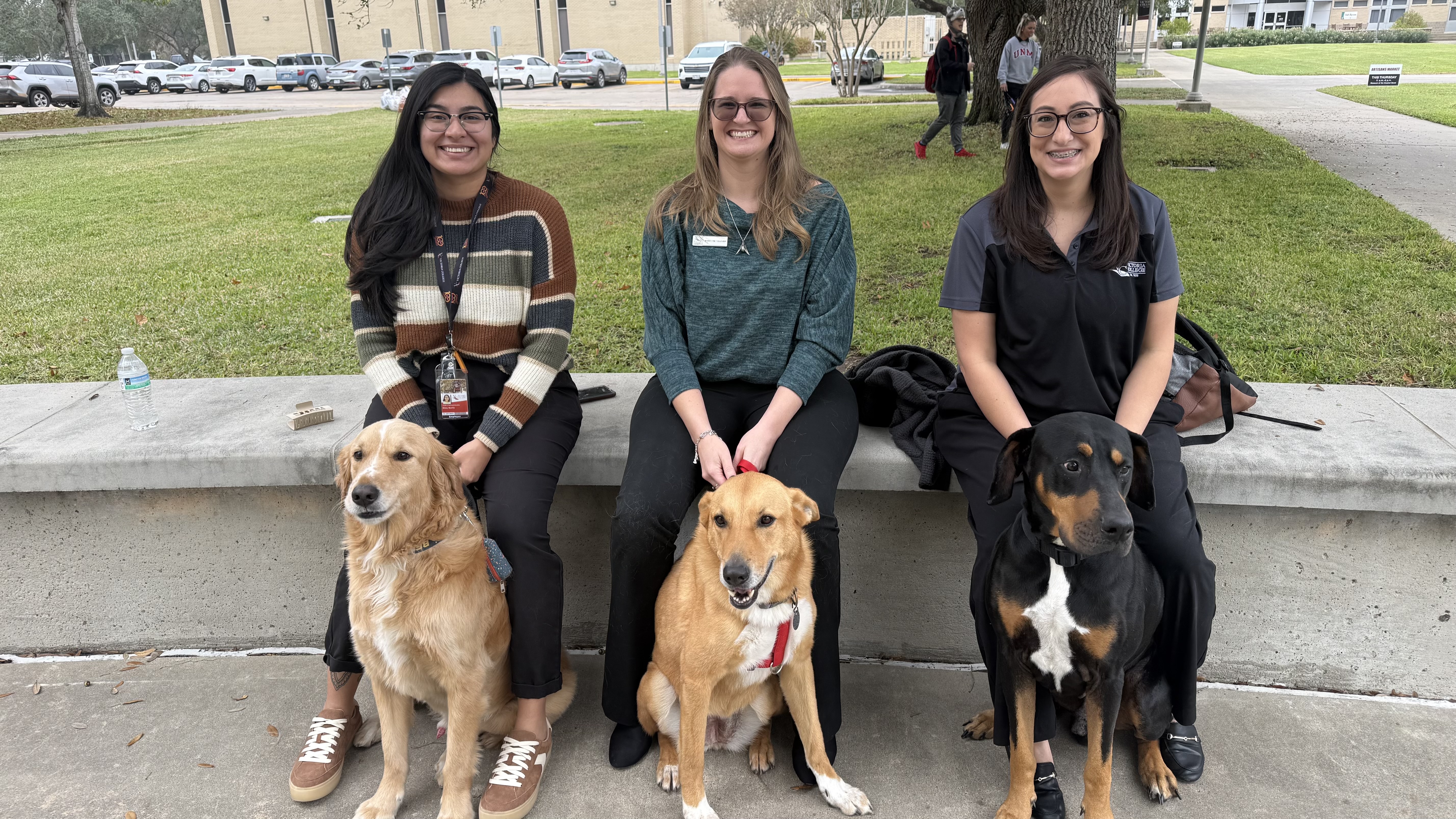 Three VC employees pose outside with their dogs