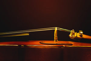 Violin Strings File Photo